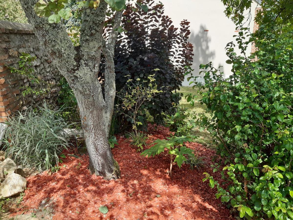الشقق الفندقية Ouzouer-Sur-Trezeeفي  Tuilerie De La Cote 4* المظهر الخارجي الصورة